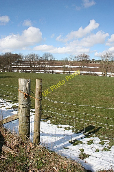 Photo 6"x4" Near Blairs Kirktown of Fetteresso c2010