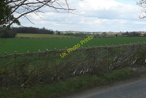 Photo 6"x4" Hedge laying east of Tunworth Tunworth c2010