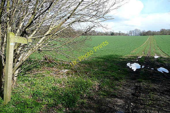 Photo 6"x4" Footpath at Ragmore Tunworth c2010