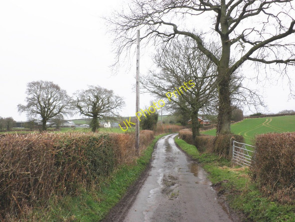 Photo 6"x4" Road to Knolton Farm Kilpeck c2010