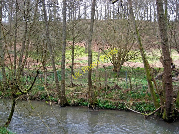 Photo 6"x4" Looking across the Dowles Brook in the Wyre Forest Bewdley\/SO7875 c2010