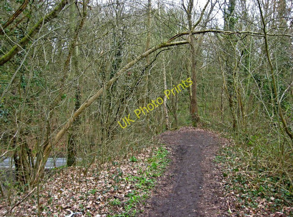Photo 6"x4" Old railway line by the B4194 road Bewdley\/SO7875 c2010