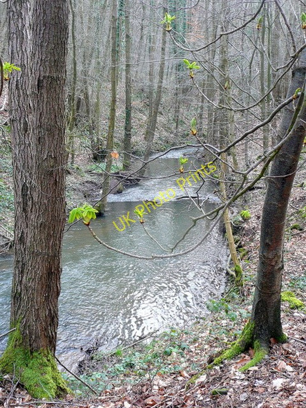 Photo 6"x4" The Blackpool Brook Viney Hill c2010
