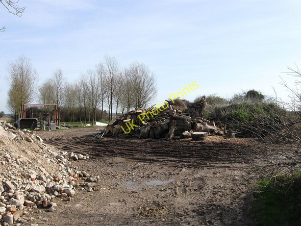 Photo 6"x4" Chilley Green Rickney c2010