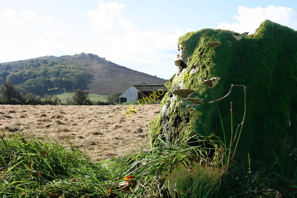 Photo 6"x4" Honeybag Tor Bonehill\/SX7277 c2009