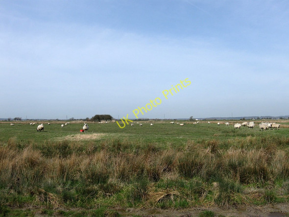 Photo 6"x4" Haven Marsh Beachlands c2010