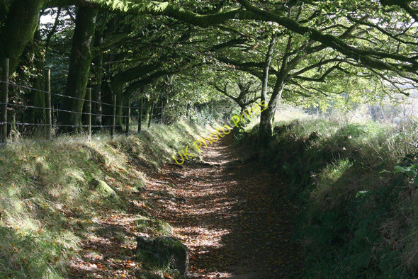 Photo 6"x4" Bridleway between Jay's Grave and Natsworthy Heathercombe c2009