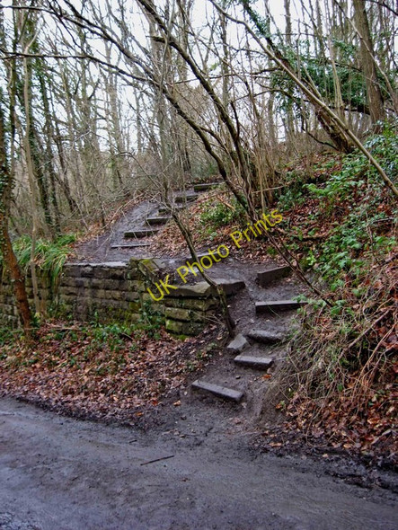 Photo 6"x4" Steps from Drymill Lane to former railway line Bewdley\/SO7875 c2010
