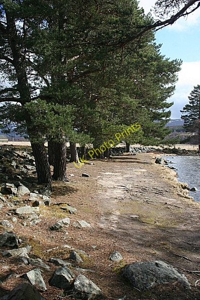 Photo 6"x4" By the Quoich Water Allanaquoich c2010