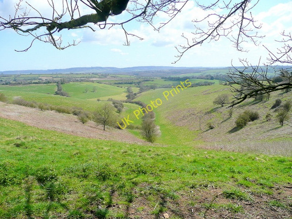 Photo 6"x4" Looking towards Green's Combe Milton Clevedon c2010