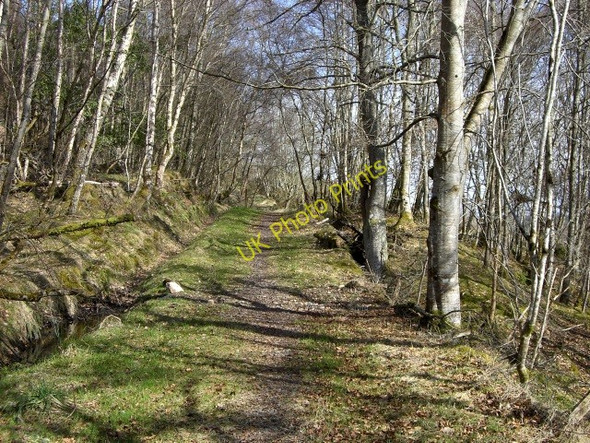 Photo 6"x4" Track above Scotsburn House Lamington\/NH7476 c2010