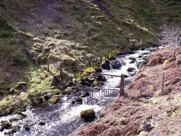 Photo 6"x4" Sheep barrier Kilsyth c2010
