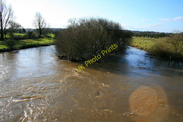 Photo 6"x4" River Stour in spate Wimborne Minster c2010 P1