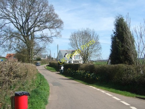 Photo 6"x4" Ebford Lane, Ebford, with Lower Lane joining from the right Ebford c2010