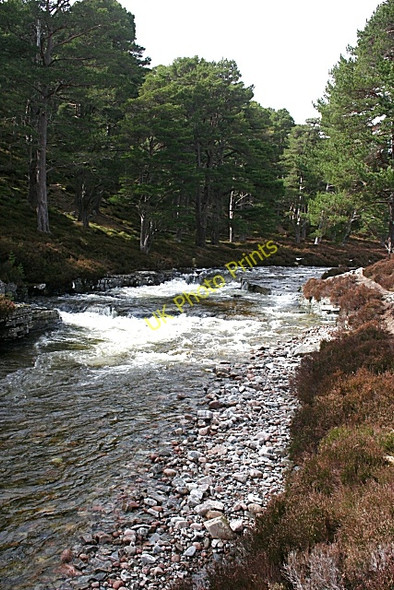 Photo 6"x4" Quoich Water Allanaquoich c2010