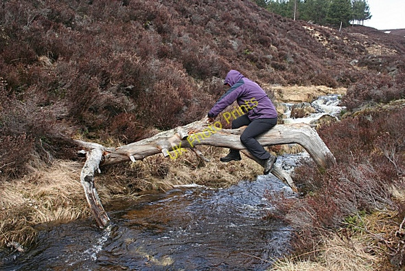 Photo 6"x4" Not a Footbridge Allanaquoich c2010