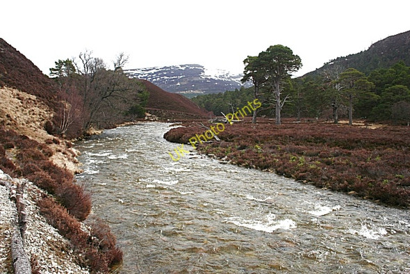 Photo 6"x4" Glen Quoich Allanaquoich c2010