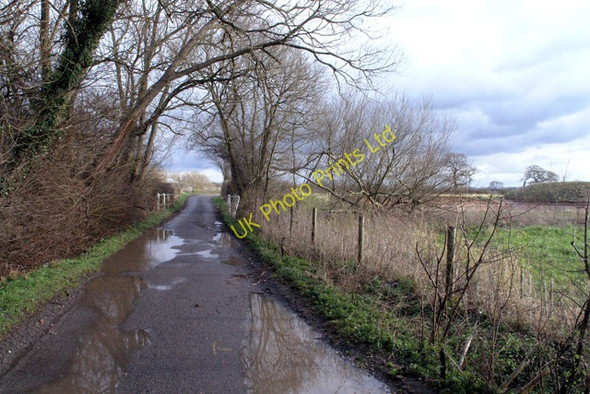 Photo 6"x4" Warren Lane Ratcliffe on Soar c2008
