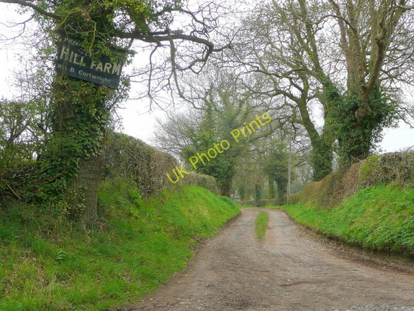 Photo 6"x4" Track to Hill Farm Cooksey Corner c2010