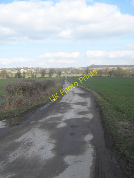 Photo 6"x4" Markeaton Brook on Footpath to Lower and Upper Vicarwood near Quarndon, Derbyshire Allestree c2010