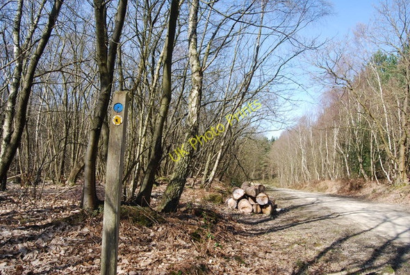 Photo 6"x4" High Weald Landscape Trail waymark, Angley Wood Cranbrook\/TQ7736 c2010
