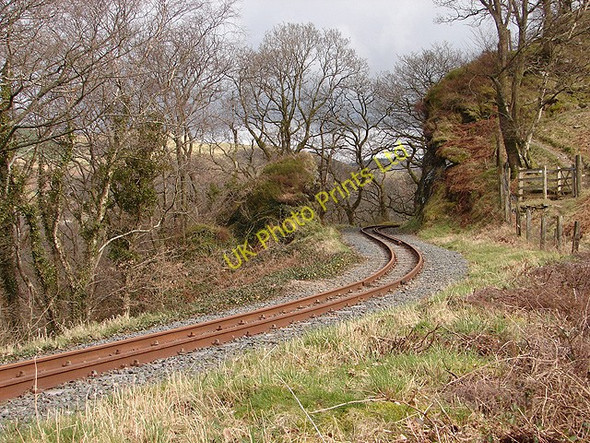 Photo 6"x4" Vale of Rheidol Railway at Derwen (4) Devil's Bridge\/Pontarfynach c2008