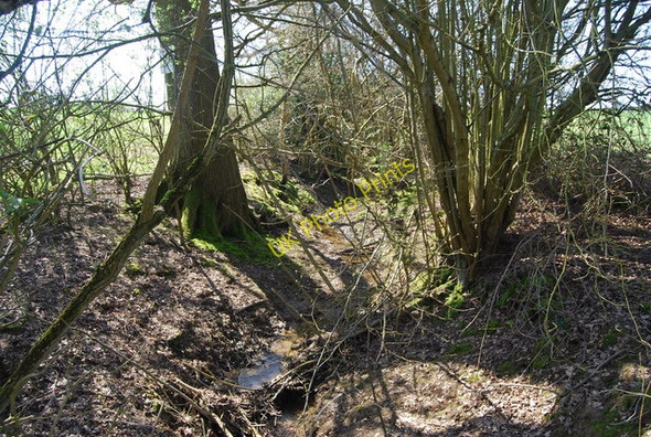 Photo 6"x4" Small stream, High Weald Landscape Trail Glassenbury c2010