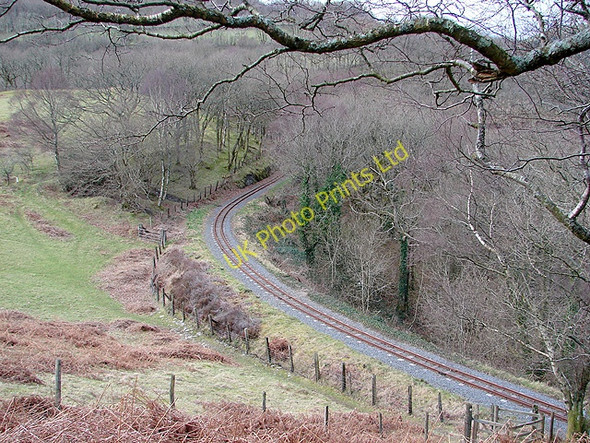 Photo 6"x4" Vale of Rheidol Railway at Derwen (6) Devil's Bridge\/Pontarfynach c2008