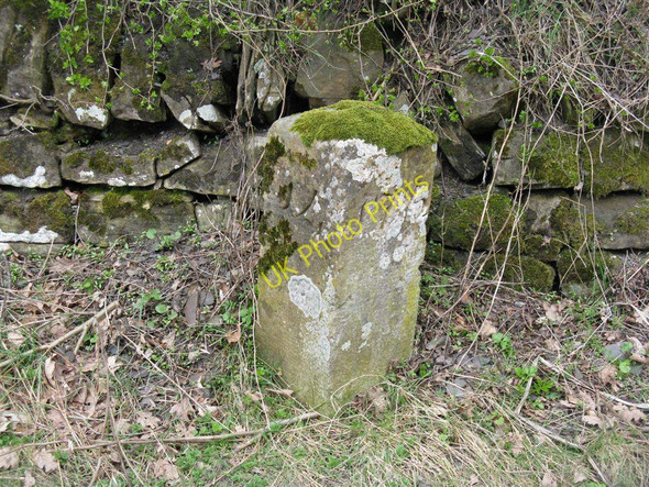 Photo 6"x4" Union Canal milestone Old Philpstoun c2010