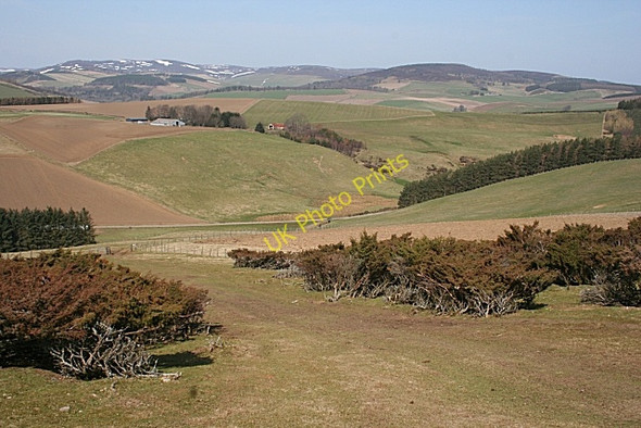 Photo 6"x4" Above Mill of Culfork Towie\/NJ4312 c2010
