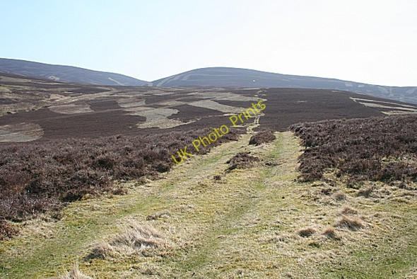 Photo 6"x4" Cardlunchart Hill Towie\/NJ4312 c2010