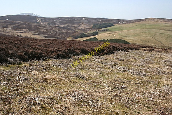 Photo 6"x4" Cardlunchart Hill Towie\/NJ4312 c2010