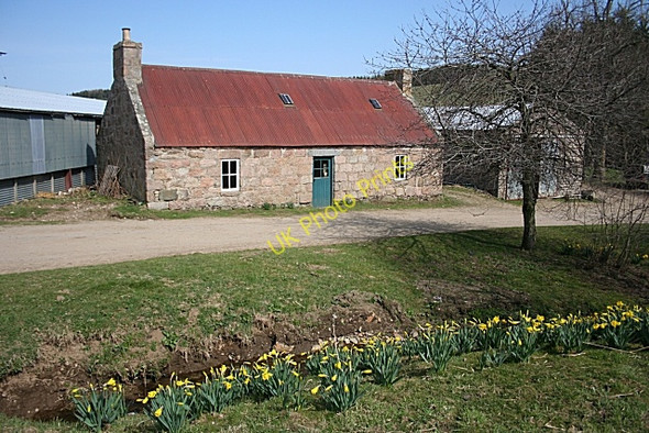 Photo 6"x4" Cottage at Mill of Culfork Towie\/NJ4312 c2010