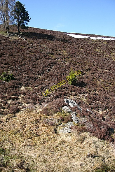 Photo 6"x4" Is this a Cairn? Kildrummy c2010