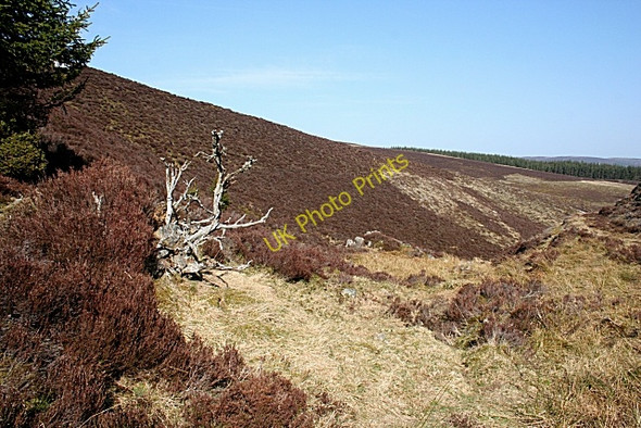 Photo 6"x4" Culsh Burn Kildrummy c2010