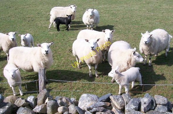 Photo 6"x4" Living in hope Bwlch-derwin c2010