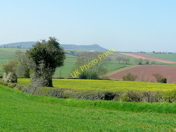 Photo 6"x4" View from Aston Crews Aston Crews c2010