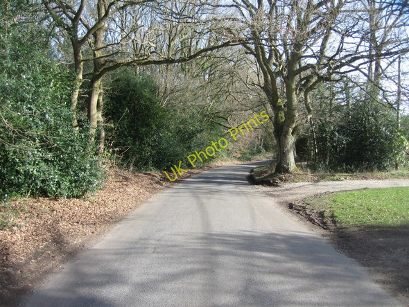 Photo 6"x4" Briff Lane Thatcham c2009