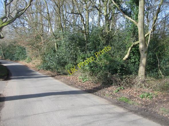 Photo 6"x4" Briff Lane Thatcham c2009 P1