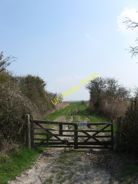 Photo 6"x4" Gate, Marshfoot Lane Hailsham c2010