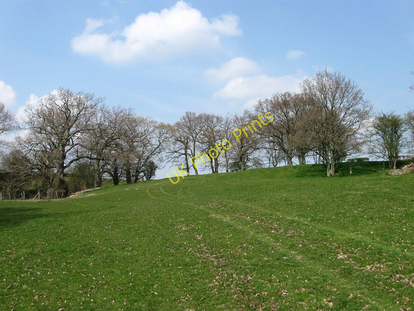 Photo 6"x4" Pond Field Hailsham c2010