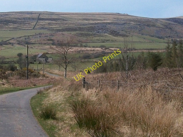 Photo 6"x4" View from the forest towards the derelict farm buildings above Mynachdy Gwyn Bwlch-derwin c2010