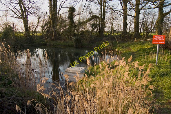 Photo 6"x4" Blue Kell, near Watton Rotsea c2010