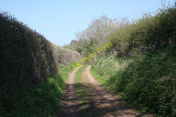 Photo 6"x4" Bridleway to Cobhill Rough Murrell's End\/SO7430 c2010