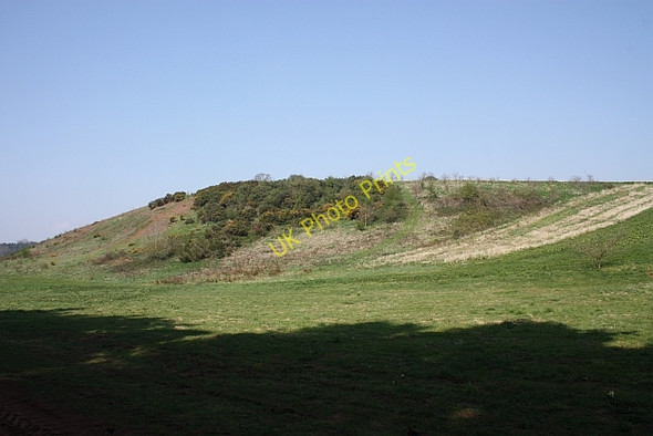 Photo 6"x4" Gorse on steep hillside Fairfields\/SO7432 c2010