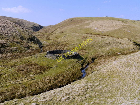 Photo 6"x4" Sheepfold by Rennies Burn Rennies Burn c2010