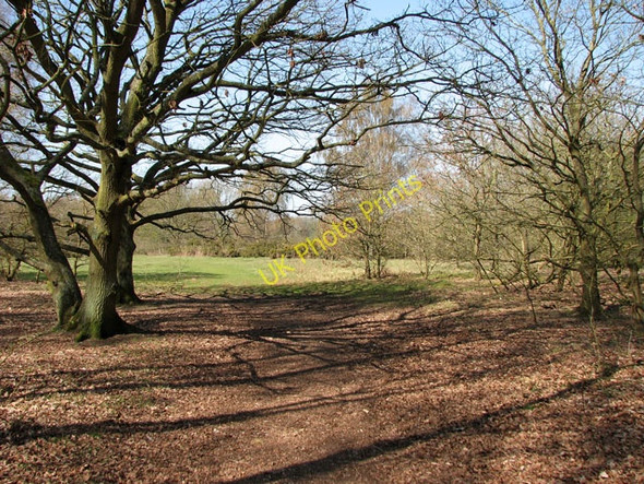 Photo 6"x4" Approaching West Acre on the Nar Valley Way West Acre c2010