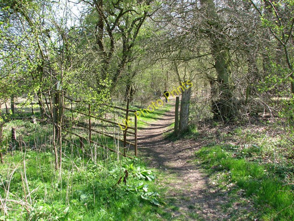 Photo 6"x4" The Nar Valley Way through Mill Covert Castle Acre c2010