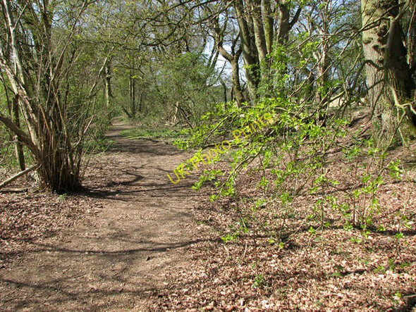 Photo 6"x4" To West Acre on the Nar Valley way Castle Acre c2010