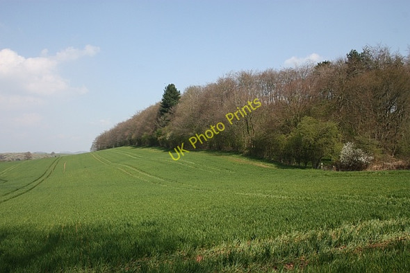 Photo 6"x4" Fields by Cobhill Rough Murrell's End\/SO7430 c2010